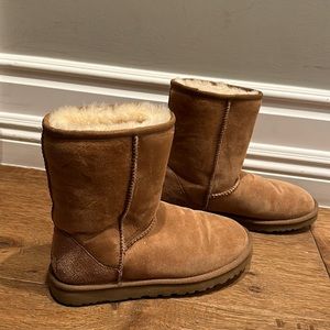 ugg boots chestnut